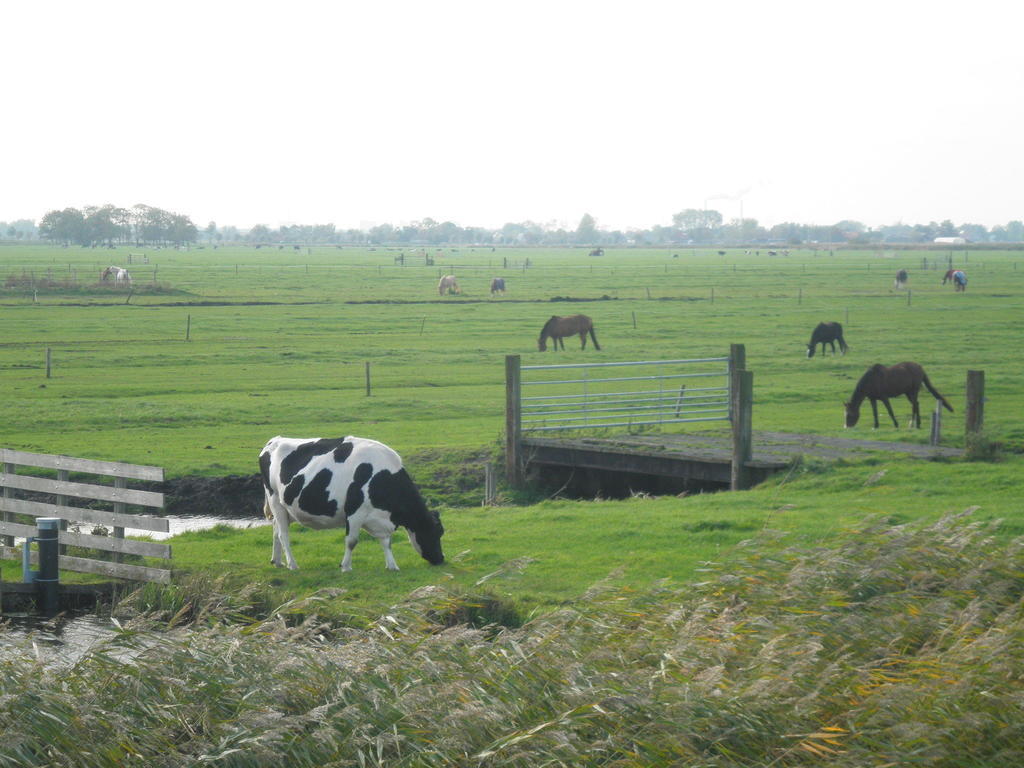 B&B Hutspot Amsterdam Bagian luar foto